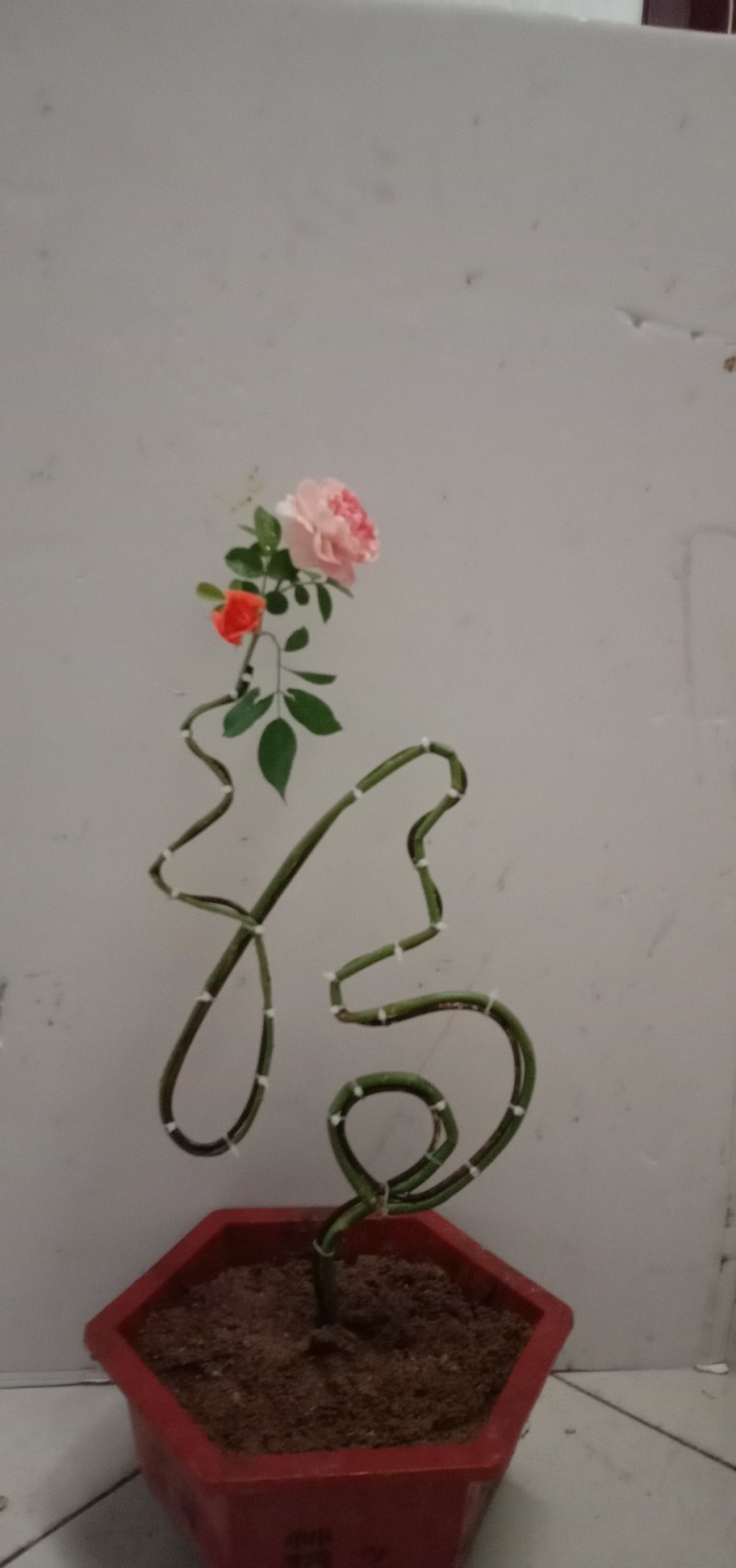 花卉字骨架