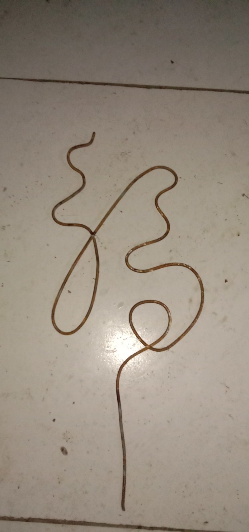 花卉字骨架