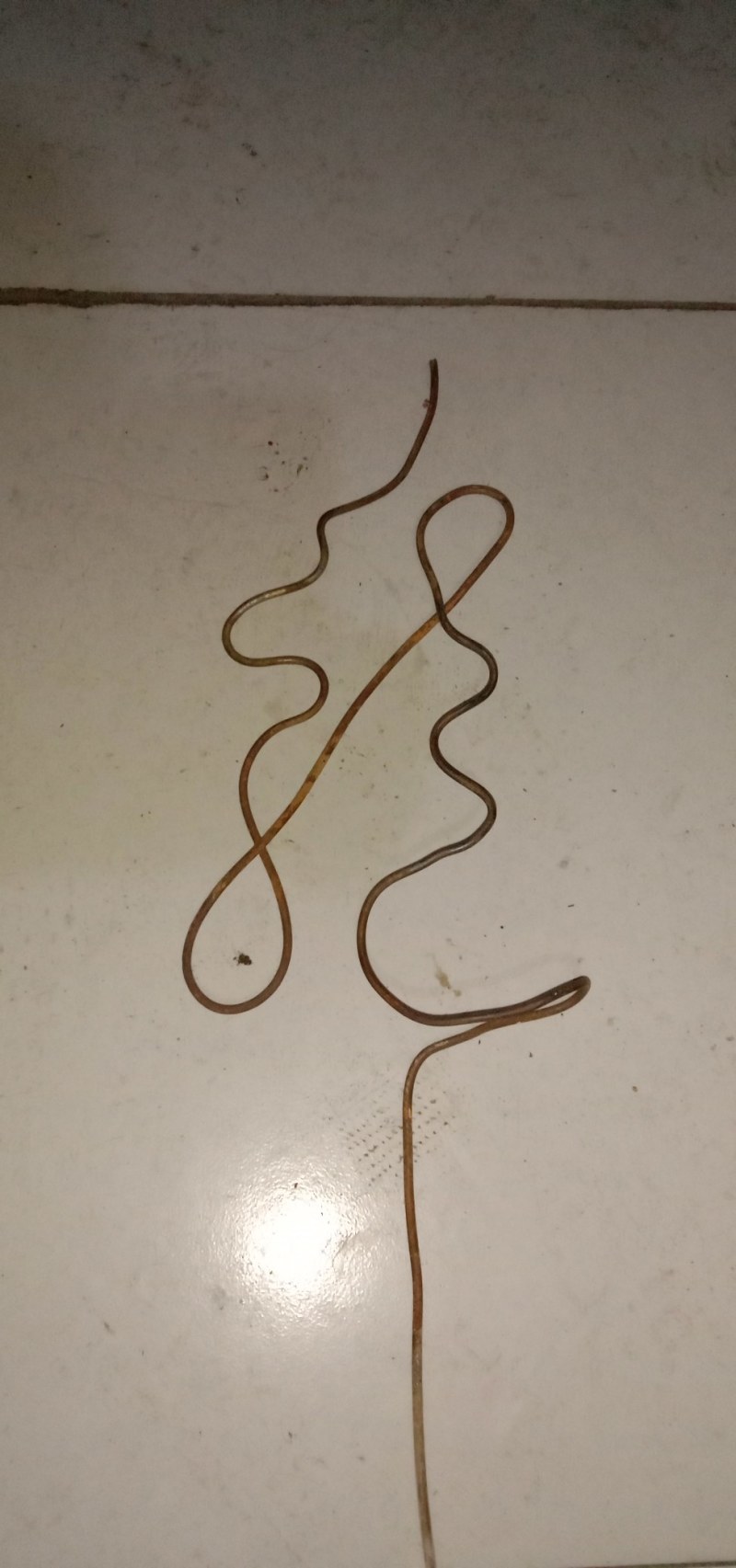 花卉字骨架