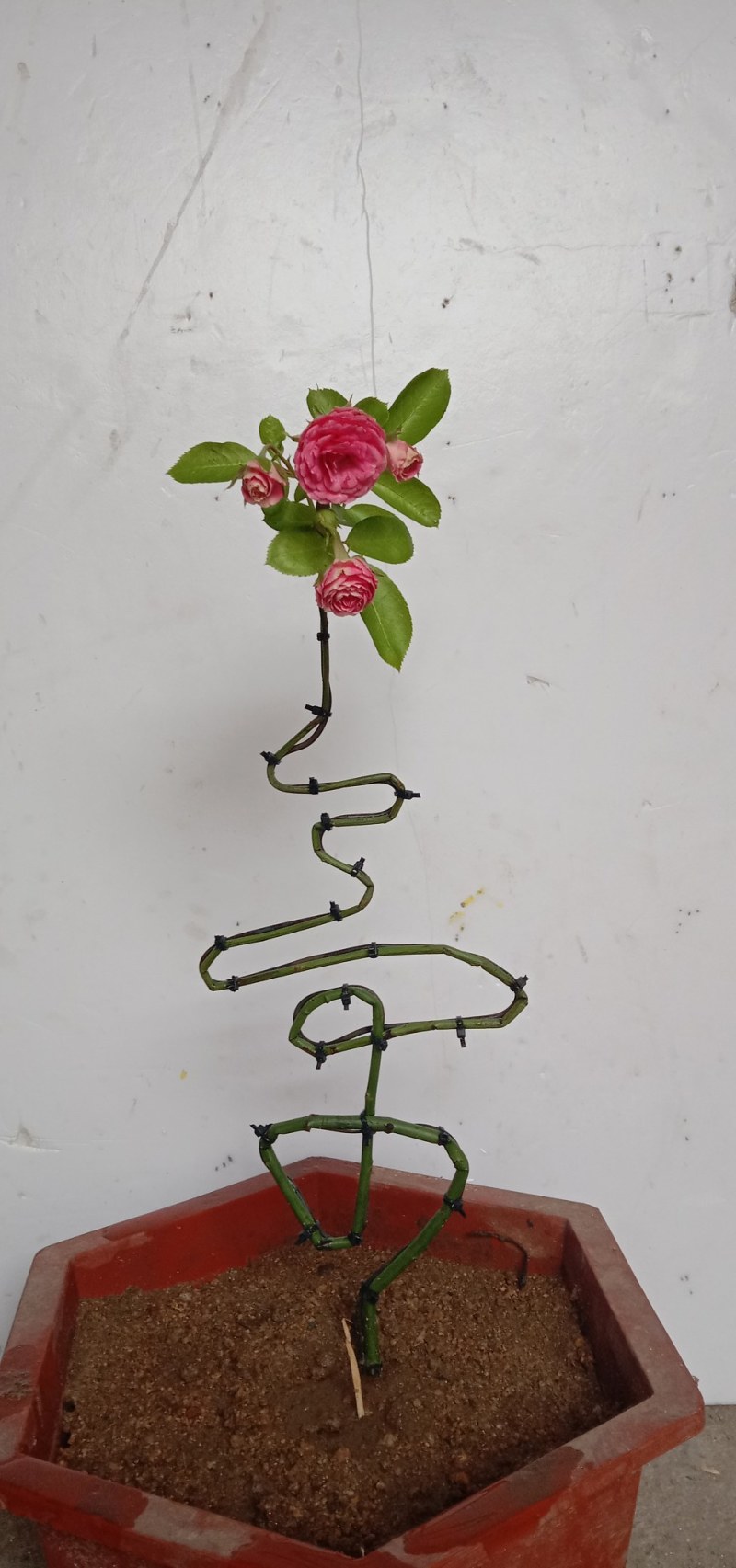 花卉字骨架