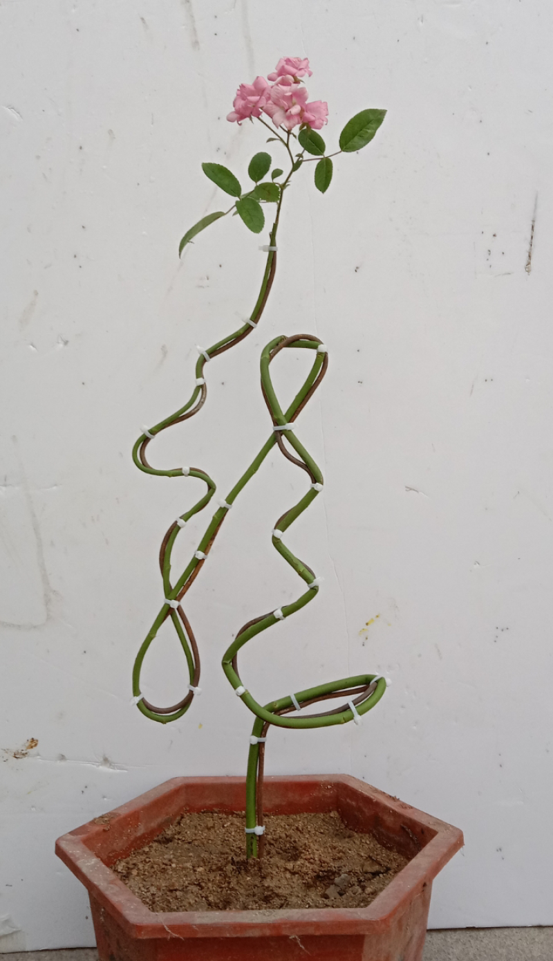 花卉字骨架