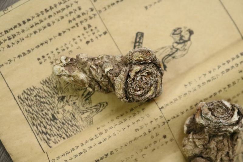 广州人15头无硫当归头当归片香味浓郁一件代发批发货源
