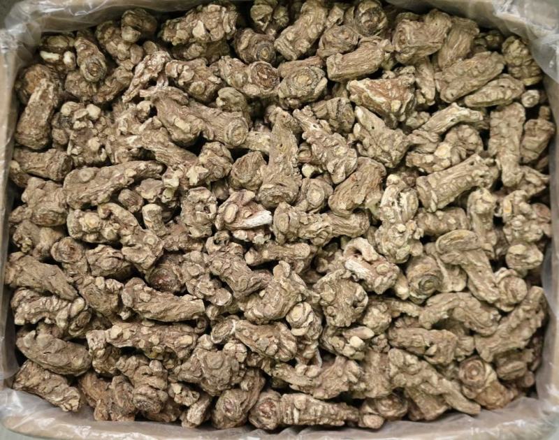 广州人15头无硫当归头当归片香味浓郁一件代发批发货源