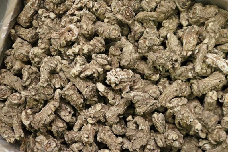 广州人15头无硫当归头当归片香味浓郁一件代发批发货源
