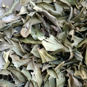 花椒籽，叶子，大量现货出售