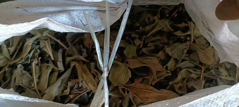 花椒籽，叶子，大量现货出售