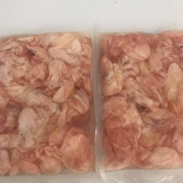 长期供应批发急冻真空包装的白鲢鱼大头鱼草鱼等鱼泡