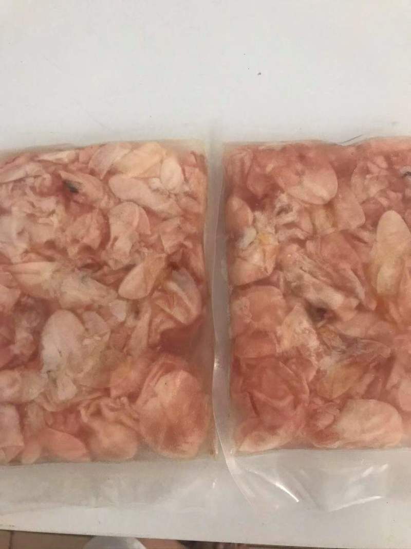 长期供应批发急冻真空包装的白鲢鱼大头鱼草鱼等鱼泡