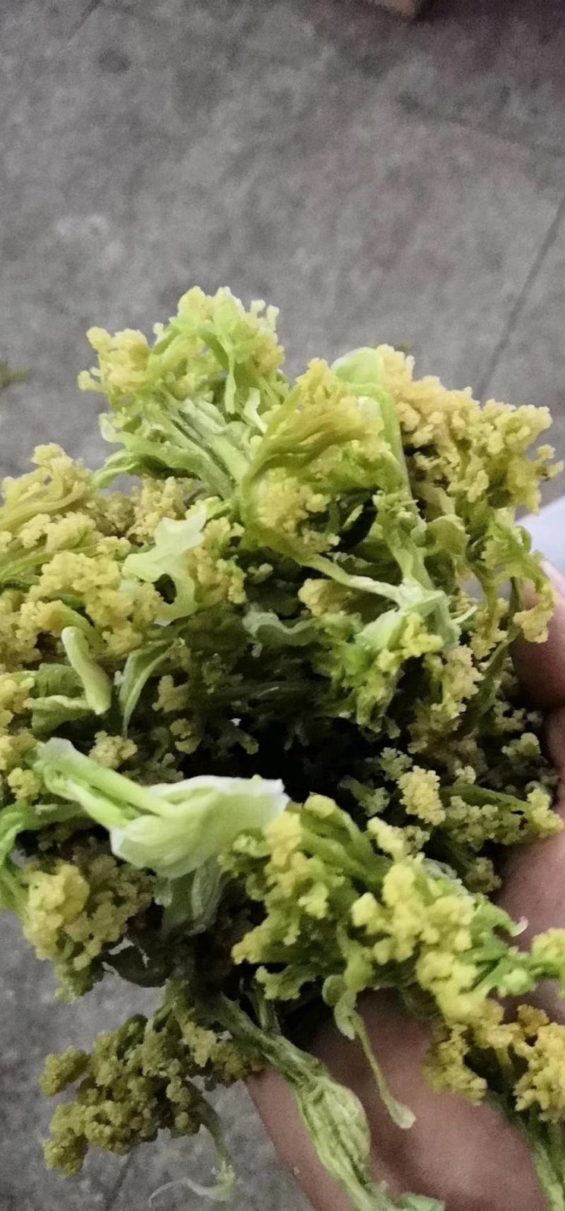 福建花菜干，色泽鲜艳，细沫少，冷库保存鲜新度好