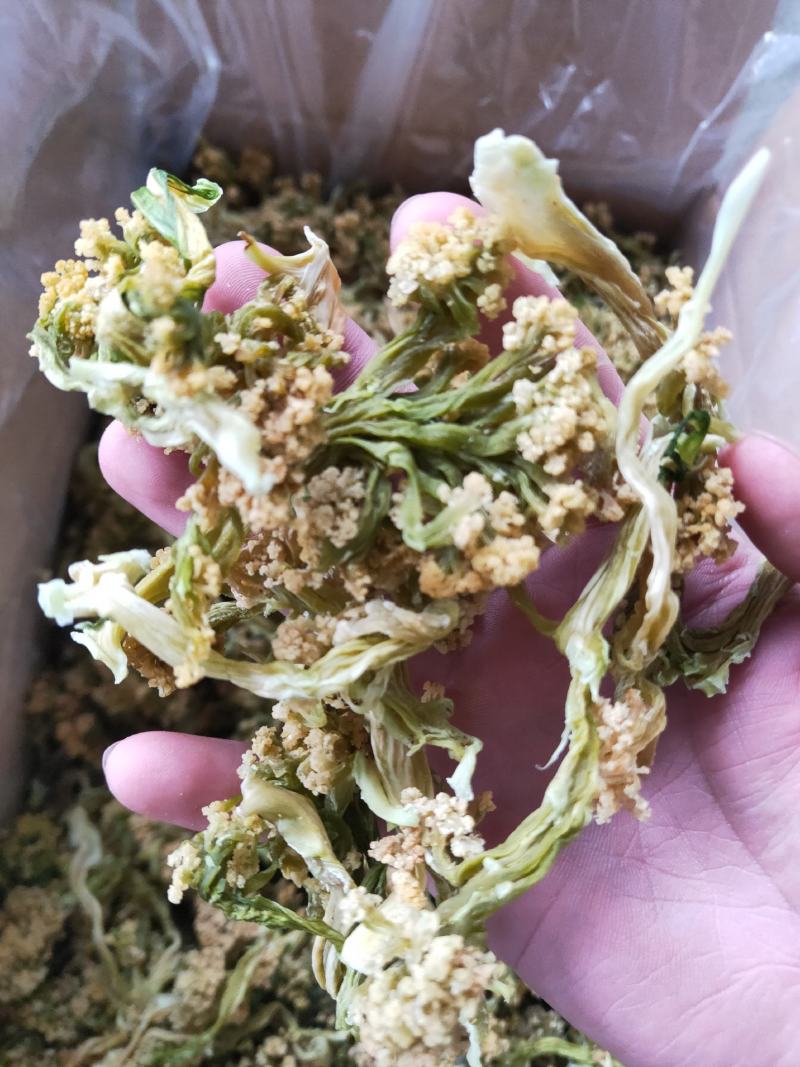 福建花菜干，色泽鲜艳，细沫少，冷库保存鲜新度好