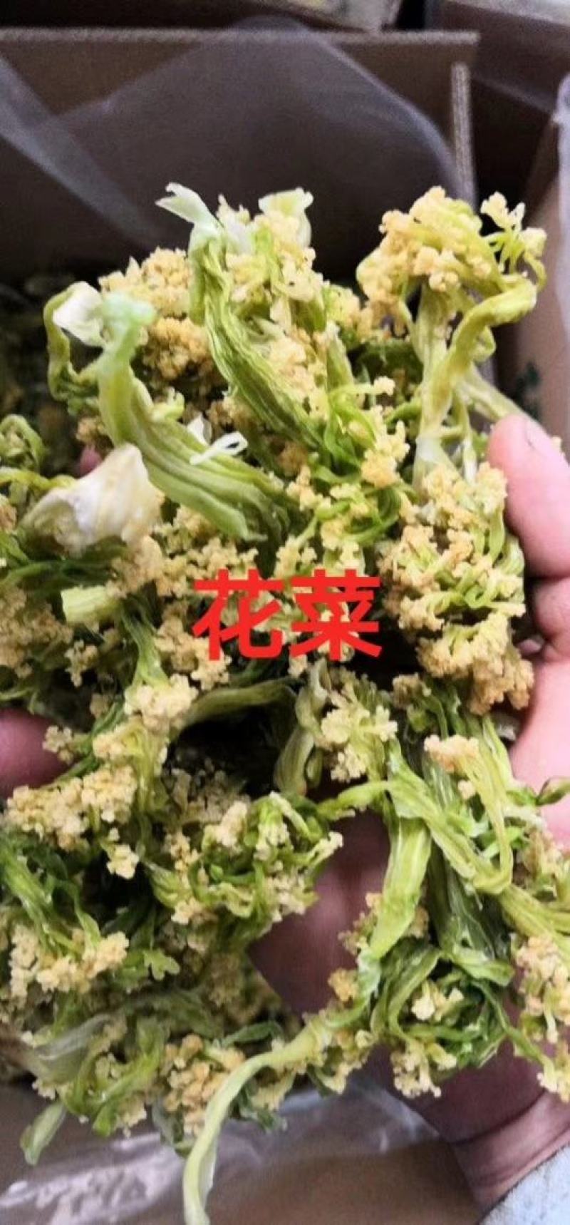 福建花菜干，色泽鲜艳，细沫少，冷库保存鲜新度好