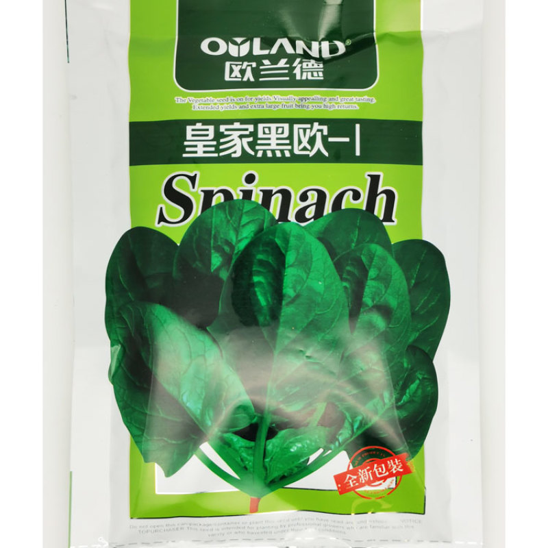 皇家新贵族6号菠菜种子耐热黑圆叶进口菠菜种子直立红根菠菜