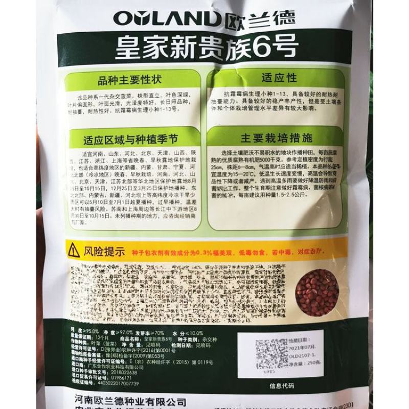 皇家新贵族6号菠菜种子耐热黑圆叶进口菠菜种子直立红根菠菜
