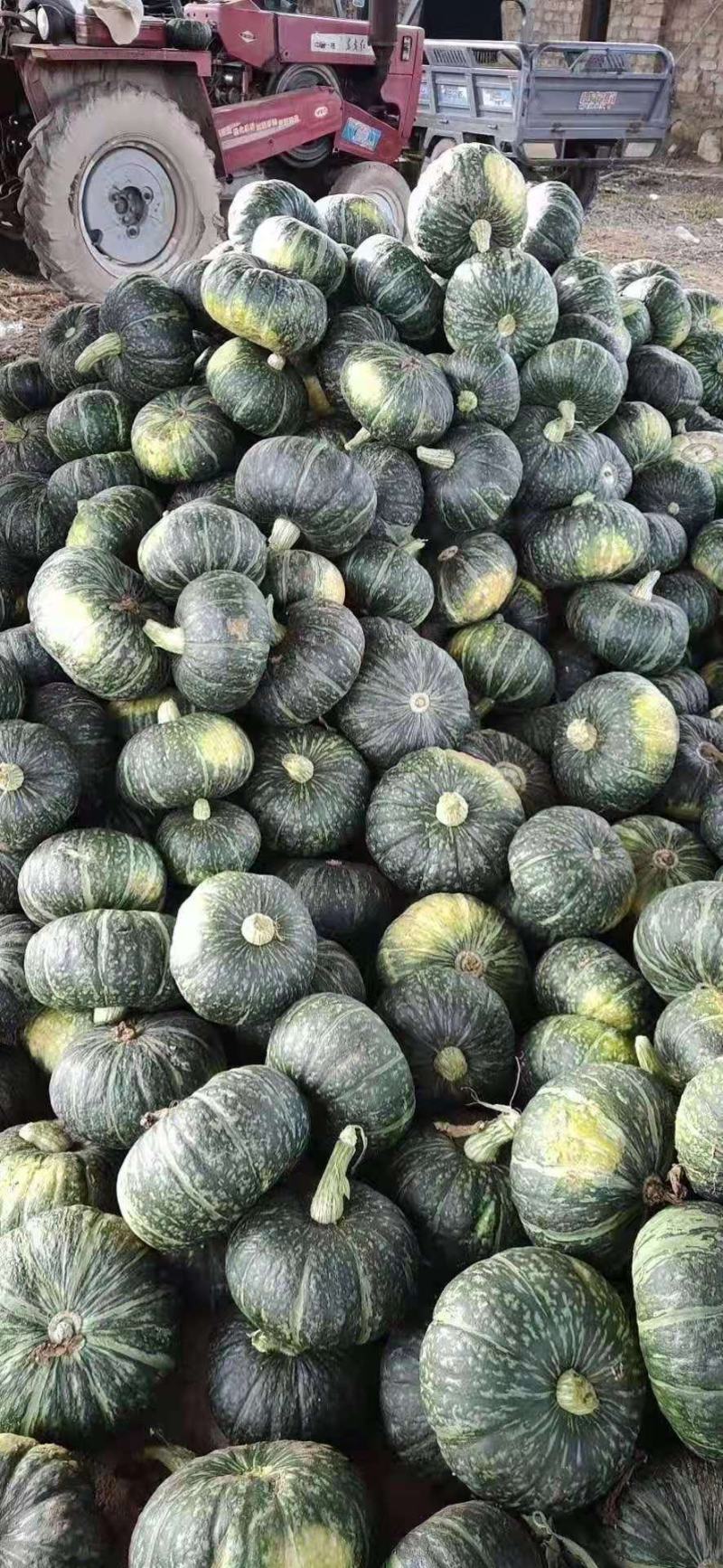 正宗贝贝南瓜，货源好，香糯可口，量大从优，可视频看货