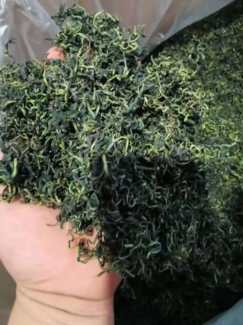 蒲公英茶新货散装蒲公英叶茶婆婆丁茶蒲公英根茶大货批发
