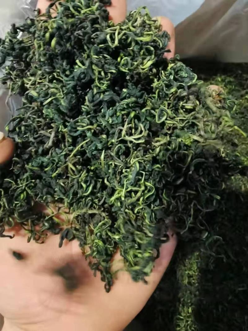 蒲公英茶新货散装蒲公英叶茶婆婆丁茶蒲公英根茶大货批发