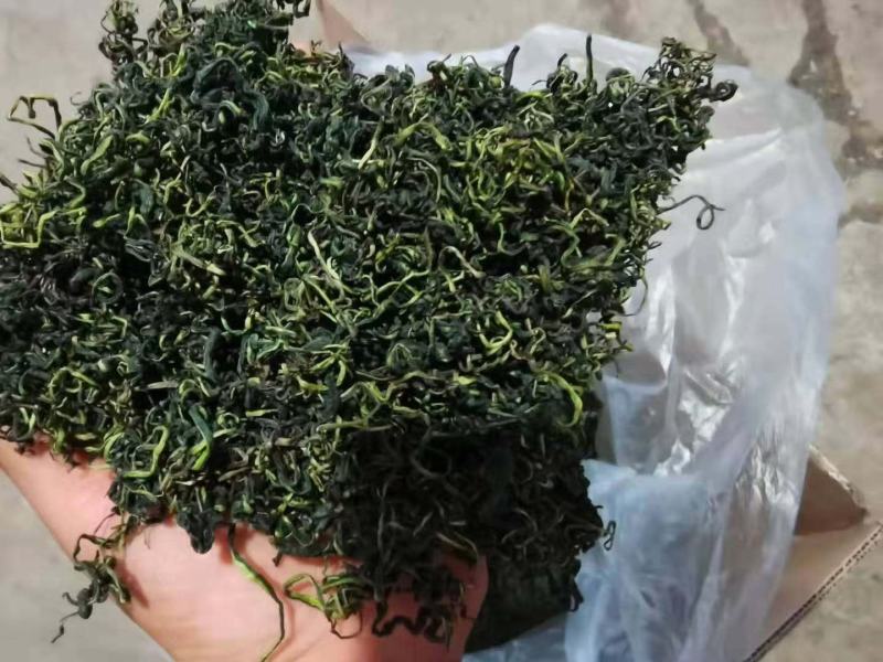 蒲公英茶新货散装蒲公英叶茶婆婆丁茶蒲公英根茶大货批发