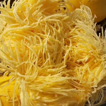 金丝瓜金丝绞瓜金瓜