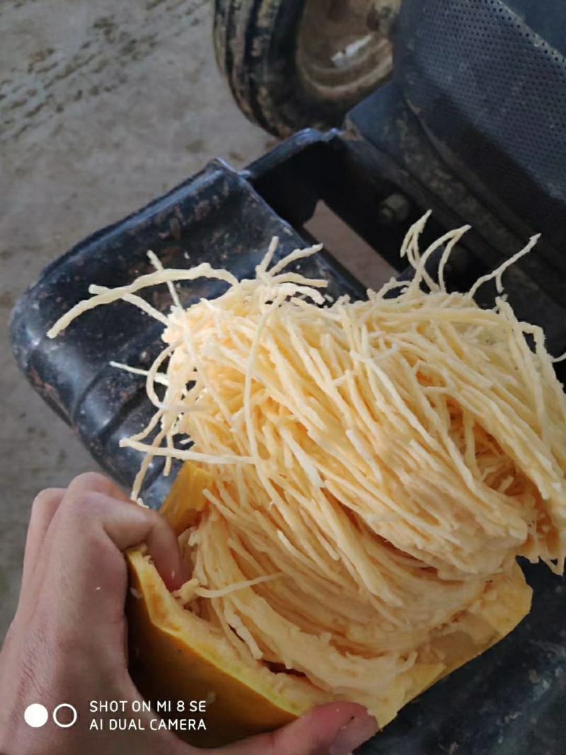 金丝瓜金丝绞瓜金瓜