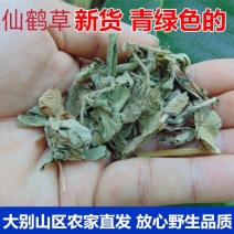 今年仙鹤草切断列马肥野生中药材河南南阳产地