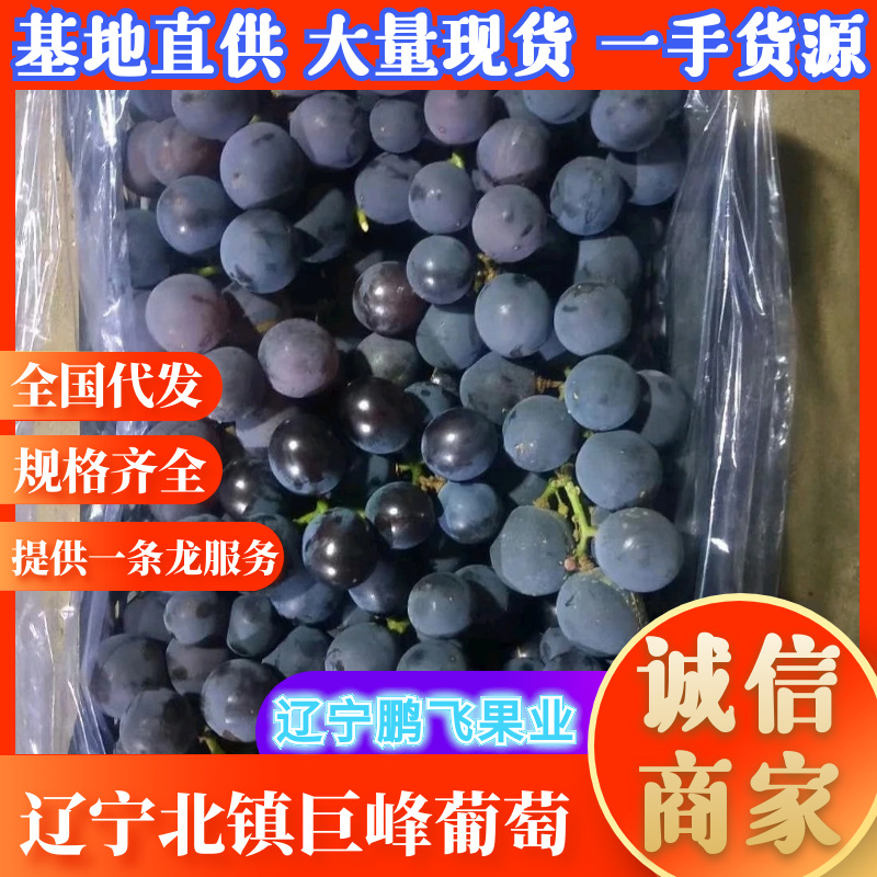 辽宁锦州北镇精品五斤白盒纯四串粒大灰好，5元一箱