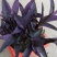 室外室内花卉绿植盆栽紫色吊兰紫竹梅紫罗兰喜光好养植物