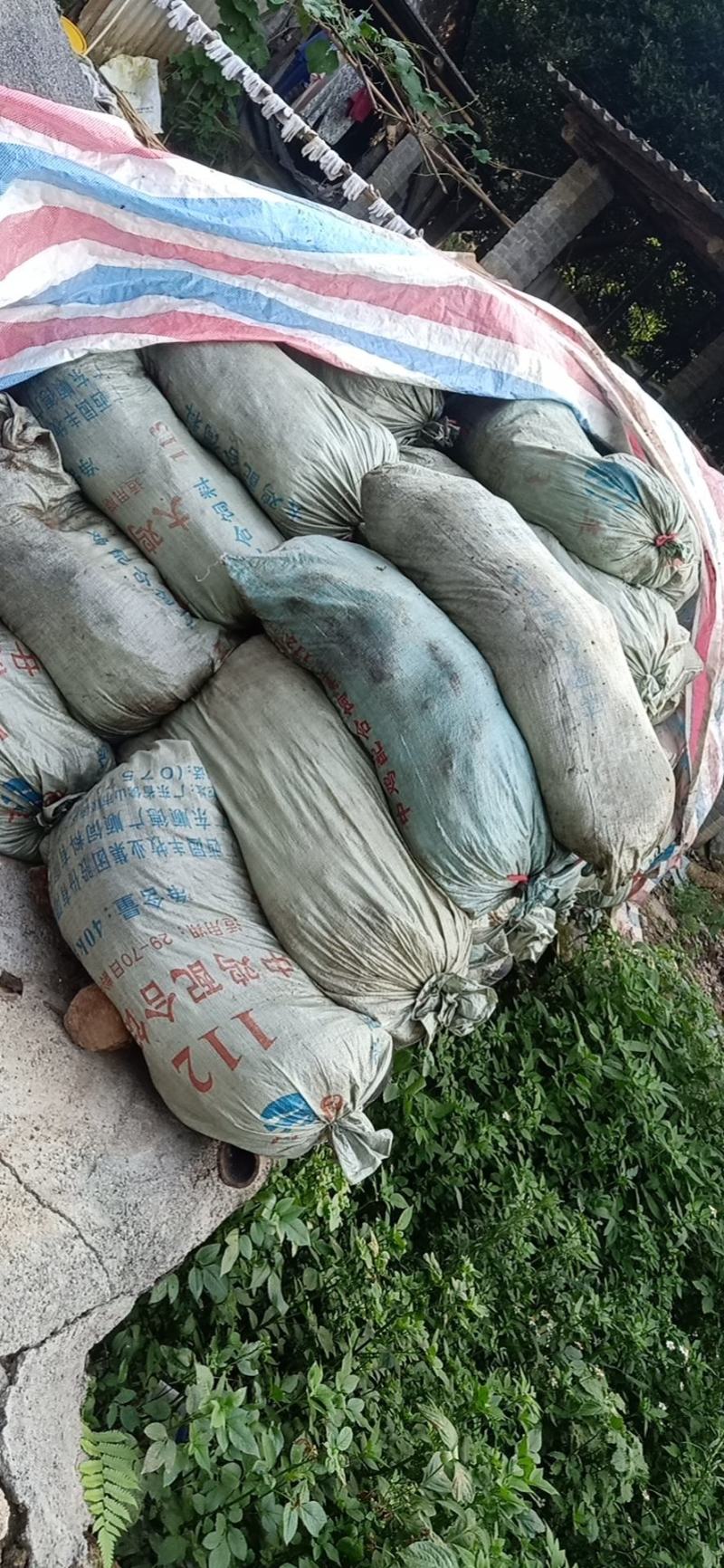 粉状纯鸡粪，干鸡屎，纯鸡屎，实物图片，有机肥