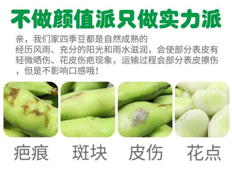 云南新鲜四季豆批发现摘现发当季无筋豆芸豆农家自种四季豆
