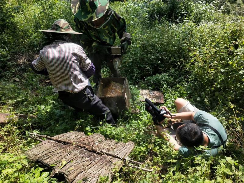 海拔1500米以上森林蜂蜜