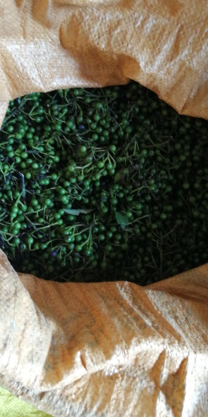 大量现货木姜子3.8一斤