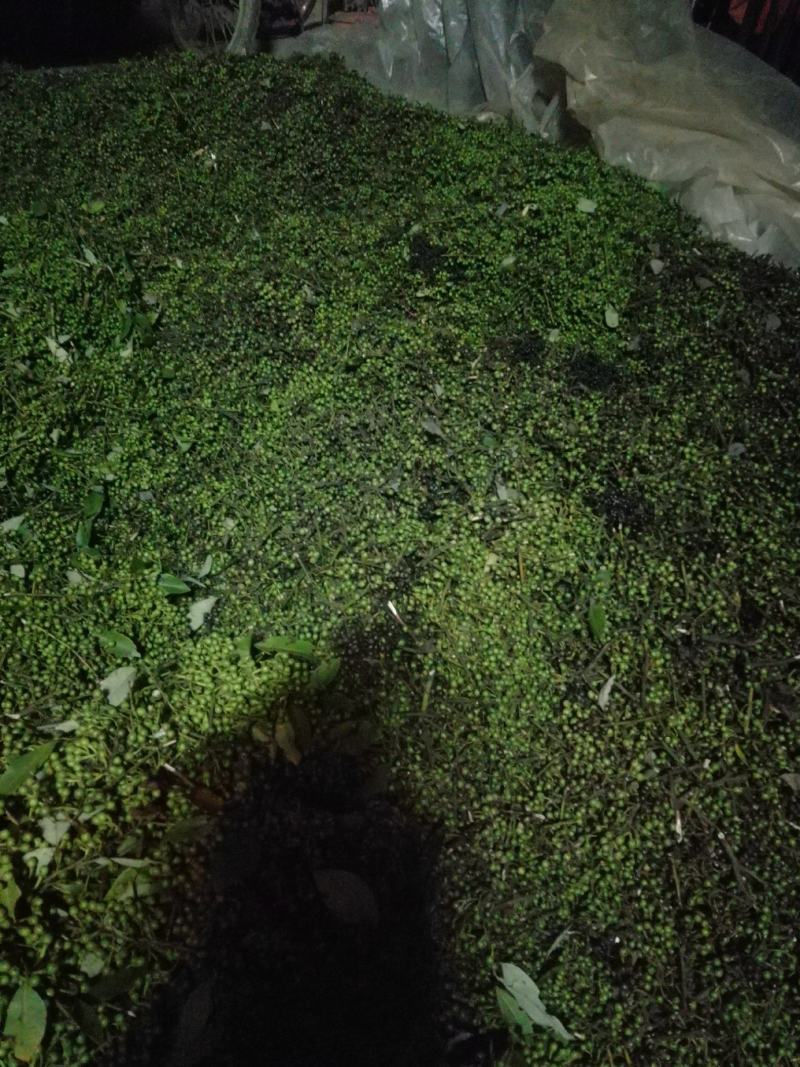 大量现货木姜子3.8一斤