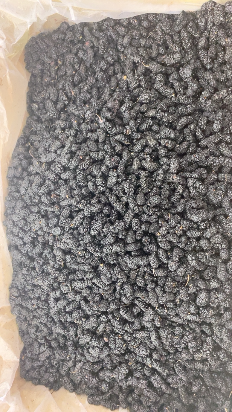 桑葚产地直卖欢迎选购，量大从优