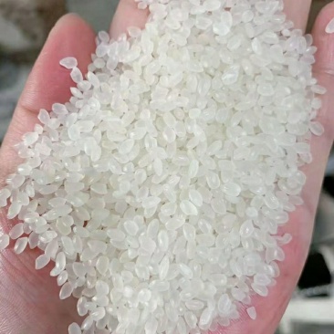 多彩贵州高峰特产十里香秋田小町王20kg/袋【原产地直发