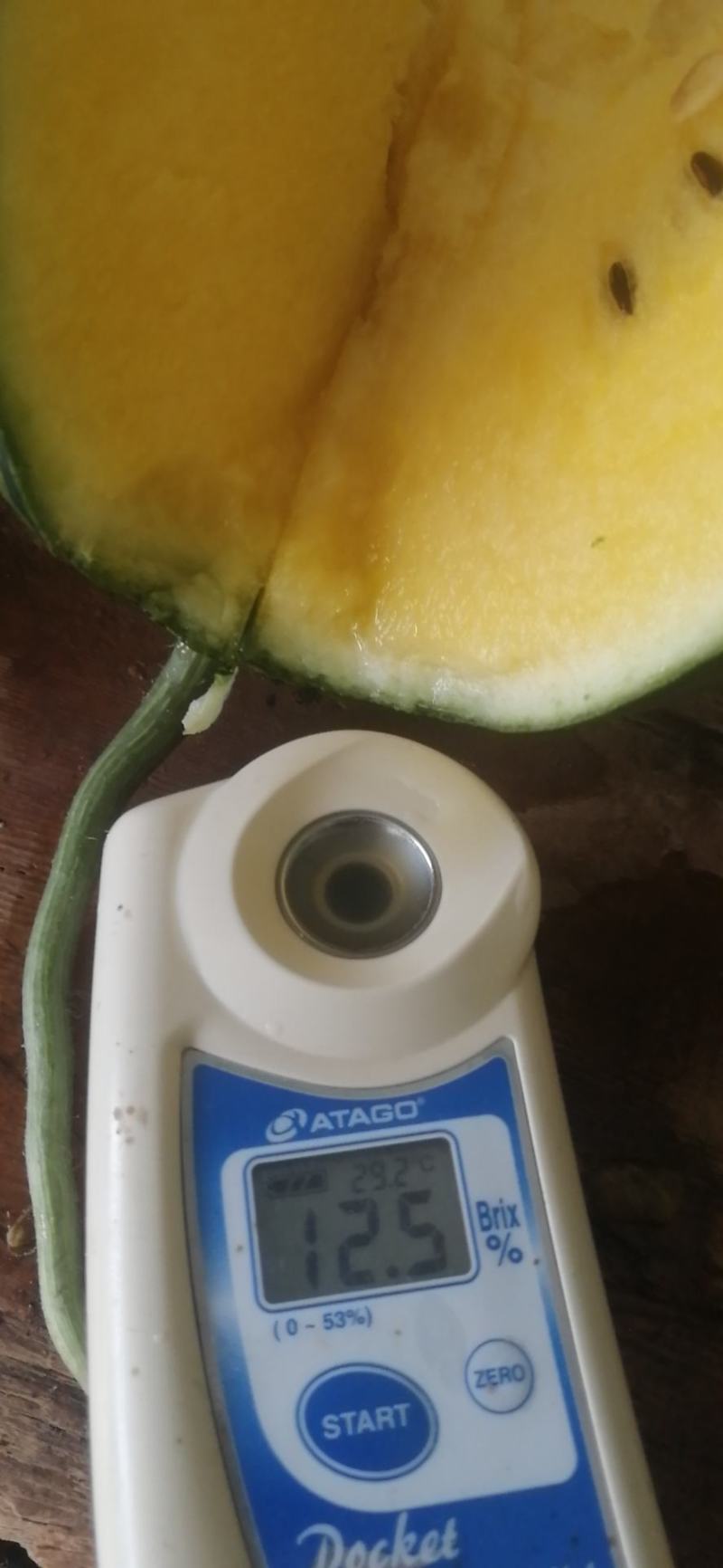 温室大棚小吊瓜熟度好口感佳可供批发市场商超电商