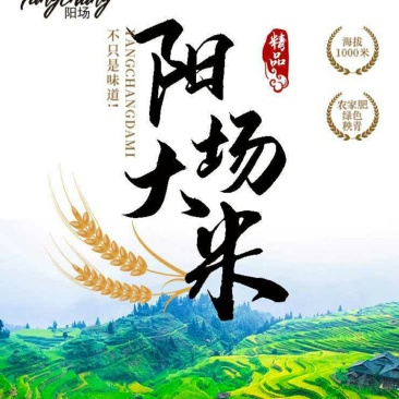 【产地直发】多彩贵州长寿之乡罗甸阳场优质大米5kg/袋