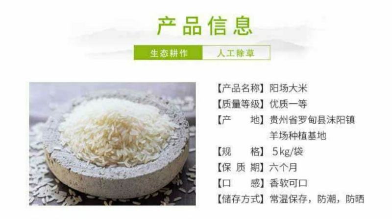 【产地直发】多彩贵州长寿之乡罗甸阳场优质大米5kg/袋