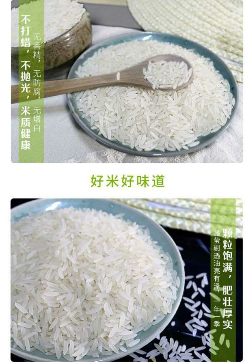 【产地直发】多彩贵州长寿之乡罗甸阳场优质大米5kg/袋