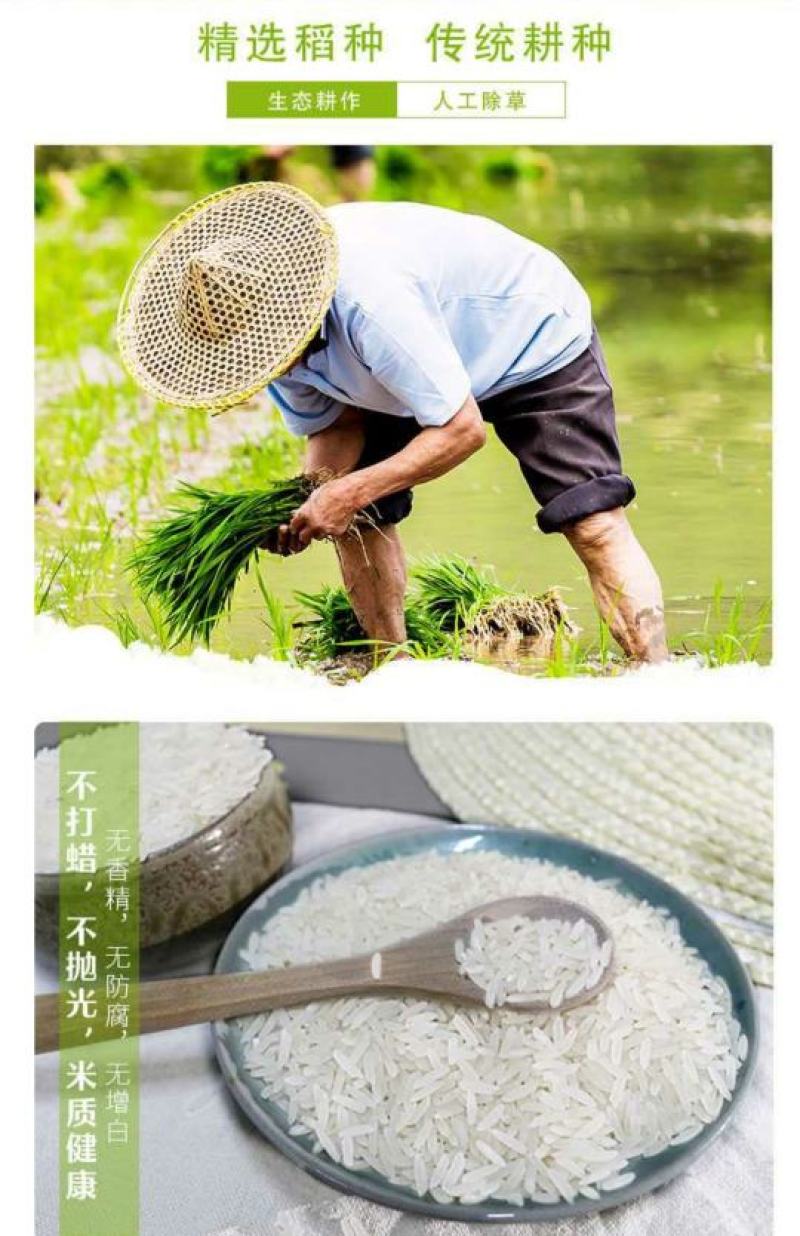 【产地直发】多彩贵州长寿之乡罗甸阳场优质大米5kg/袋