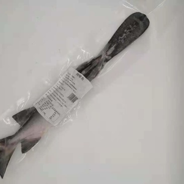 鸭嘴鲟