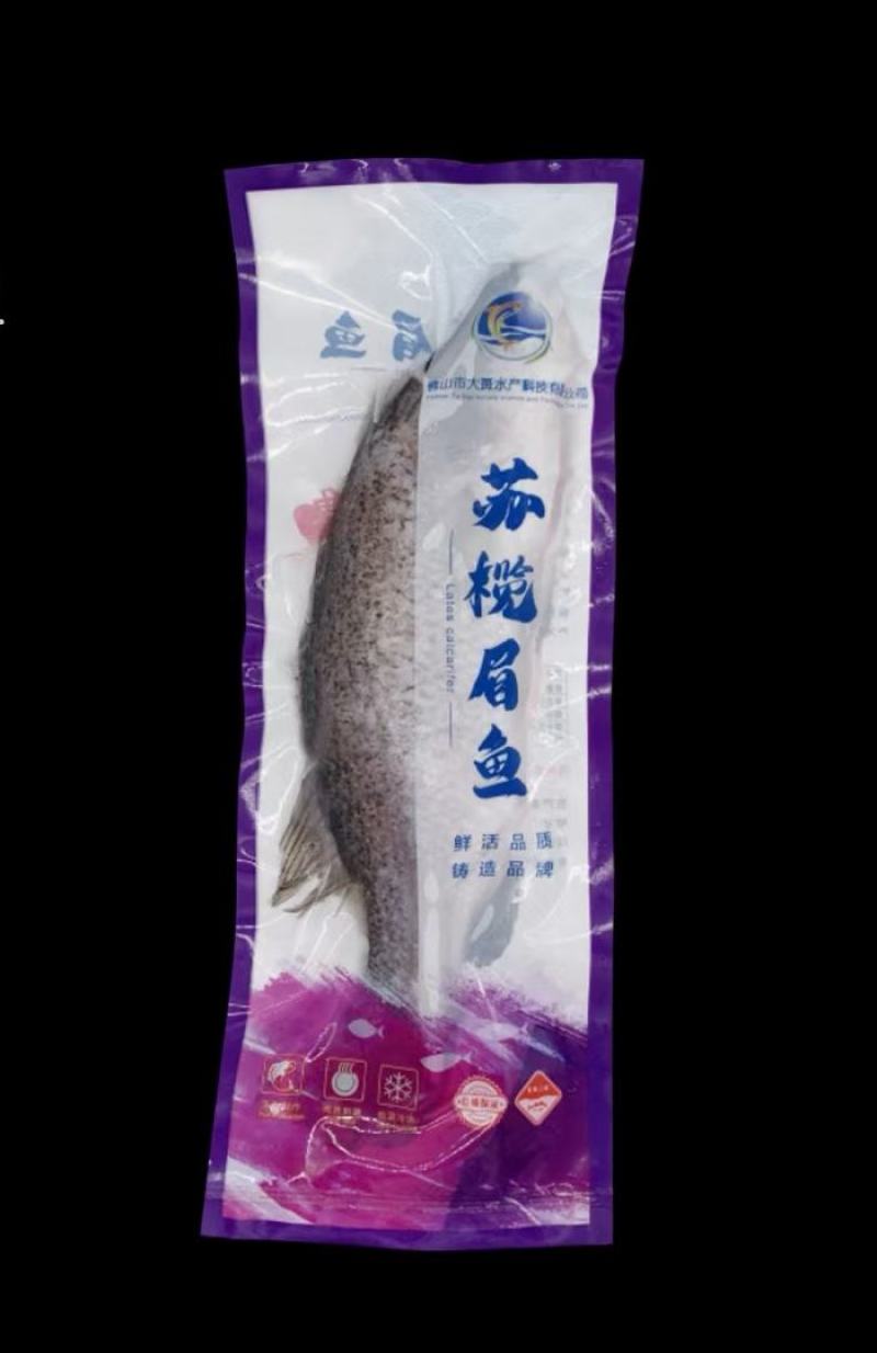 鸭嘴鲟