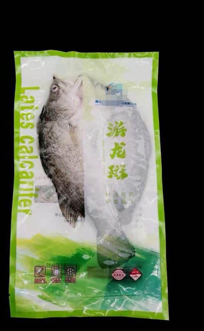 鸭嘴鲟