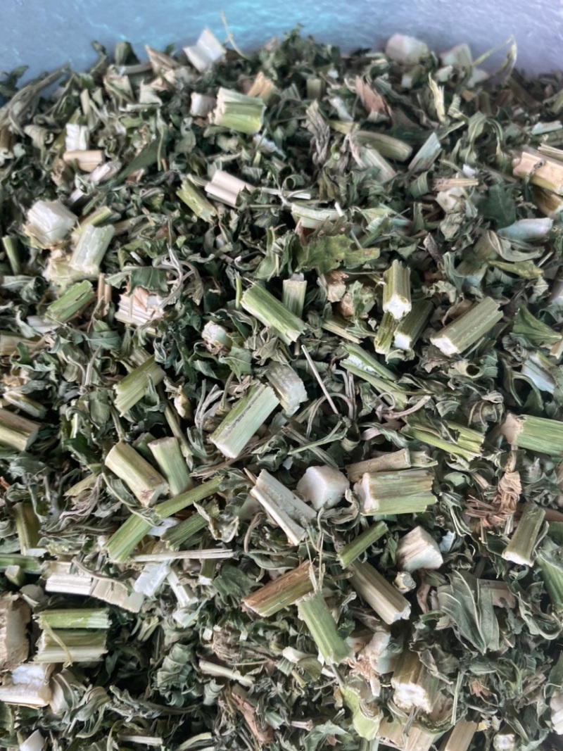 药材益母草货品质量保证批发各种中药材