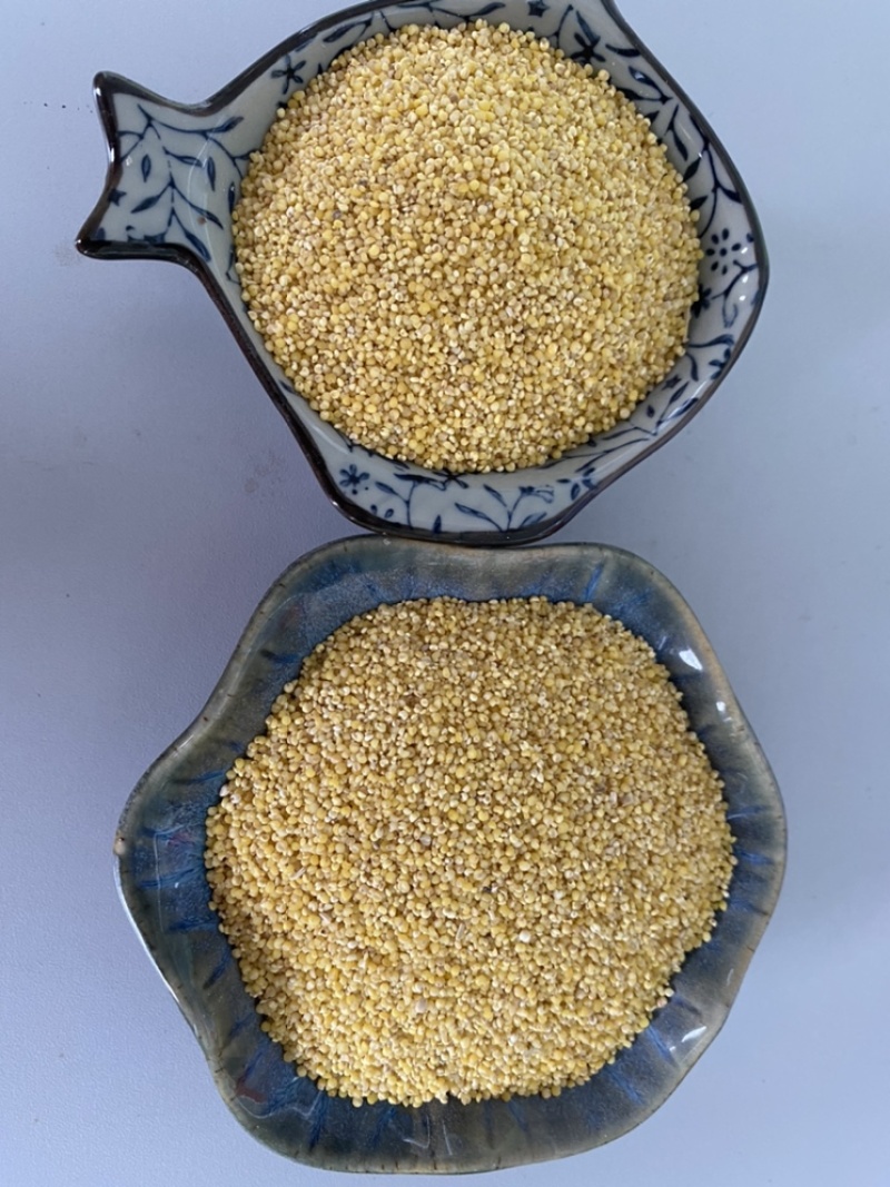 厂家直供优质碎小米，大量供应，保质保量。