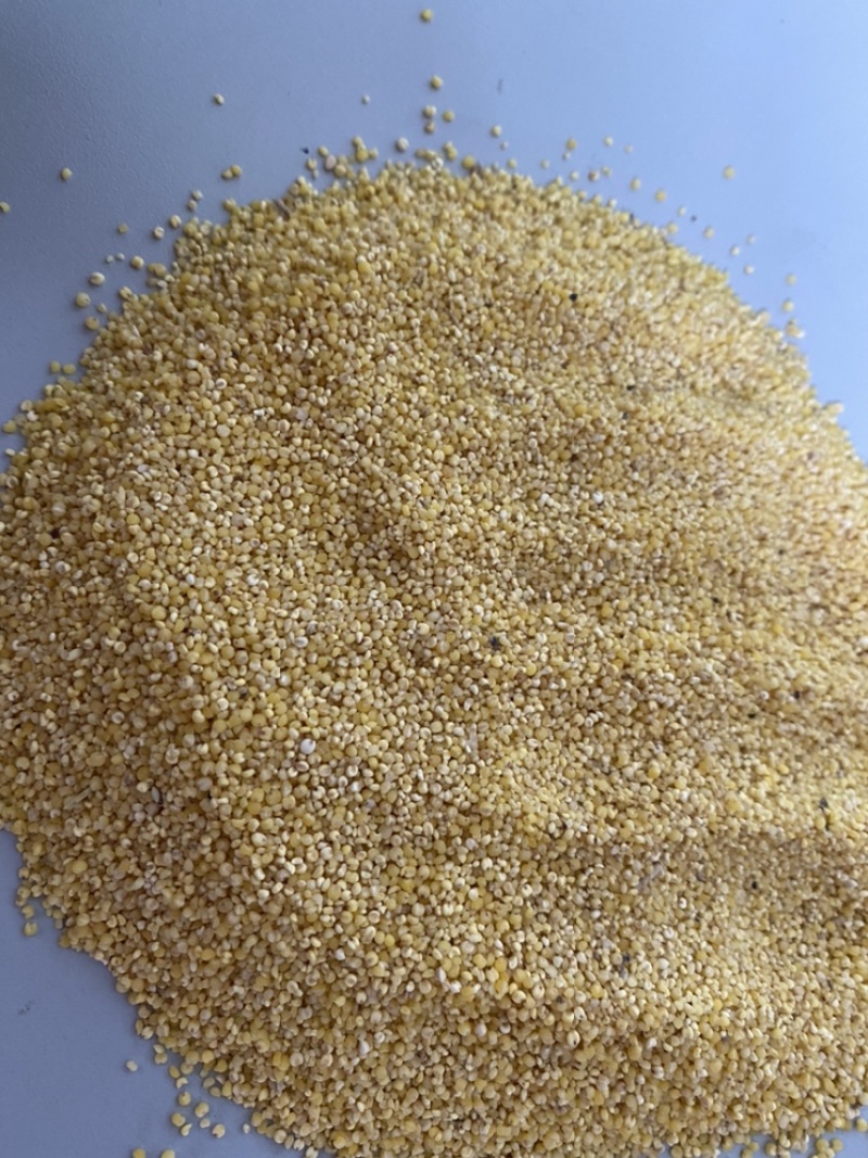 厂家直供优质碎小米，大量供应，保质保量。
