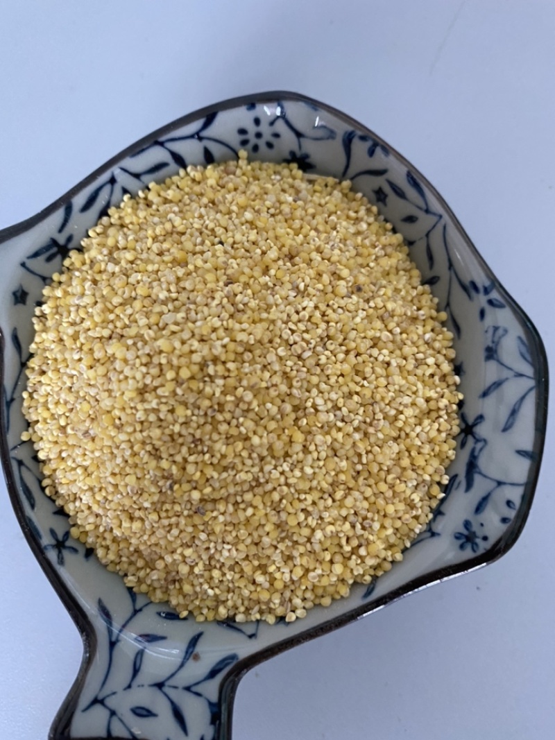 厂家直供优质碎小米，大量供应，保质保量。