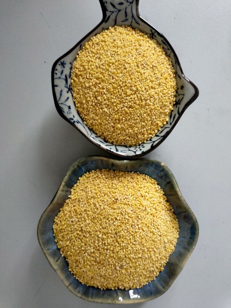 优质碎小米，干净无杂质量保证，量大从优，货源充足