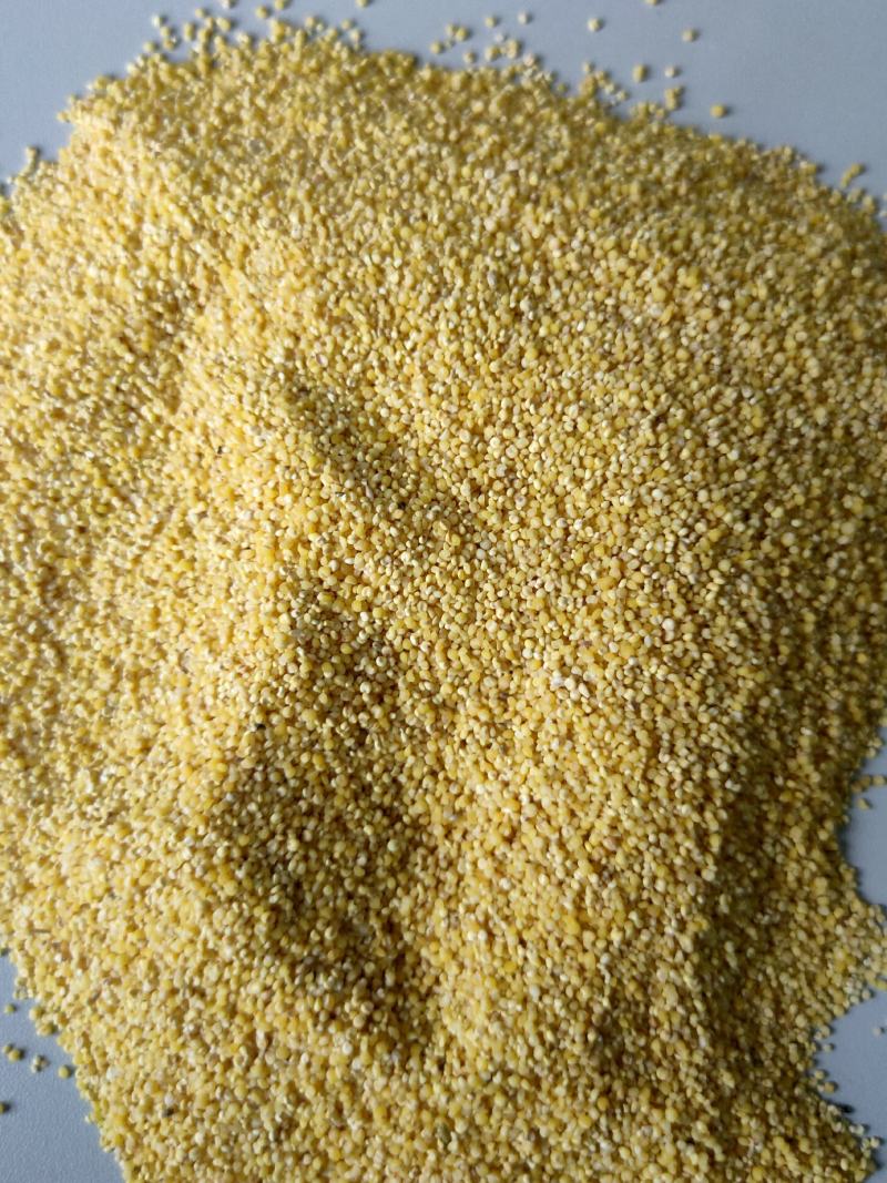 优质碎小米，干净无杂质量保证，量大从优，货源充足