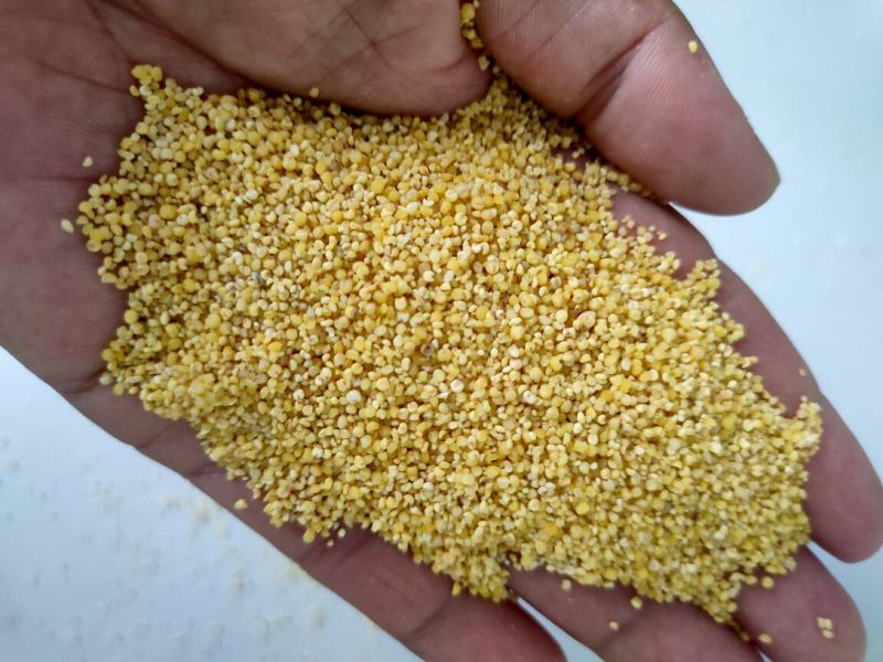 优质碎小米，干净无杂质量保证，量大从优，货源充足
