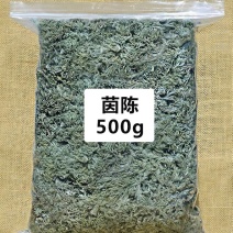 药材茵陈货品质量保证批发各种中药材