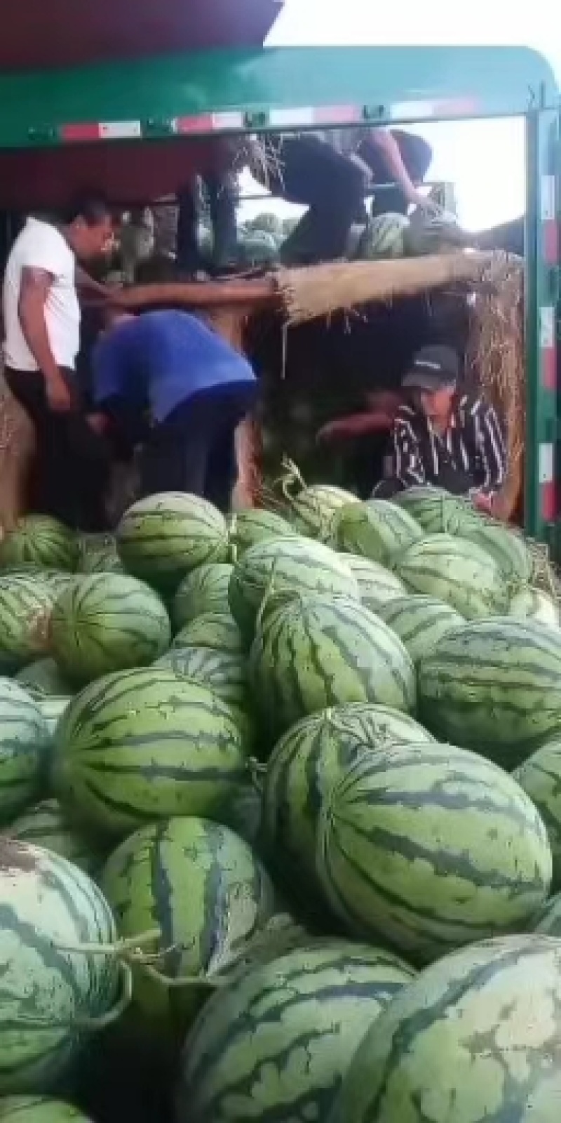 西瓜